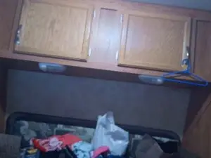 Cam4 Adult Webcams of lishrimpdick