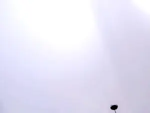 Cam4 Sex Chat of isadoraallen