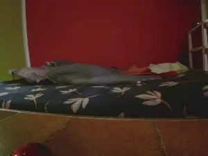 Cam4 Adult Webcams of gabriela_cum