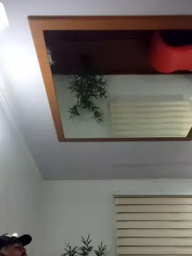 Good_girl7787 from cam4