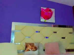 Cam4 Live Sex of Zafaerahot