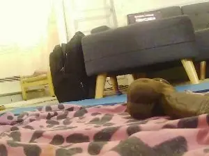 Cam4 Sex Cam of cdslut68