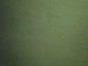Cam4 Live Sex Cam of Nicolaas
