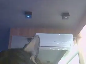 Cam4 Adult Webcams of SkinnyKittenCam