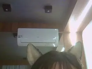 Cam4 Adult Webcam of SkinnyKittenCam