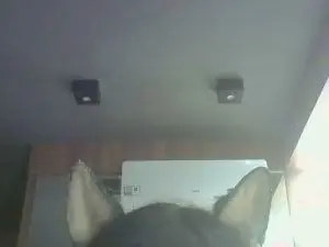 Cam4 Best Webcam of SkinnyKittenCam