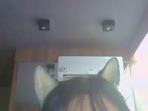 Cam4 Live Porn of SkinnyKittenCam