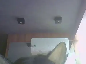 Cam4 Adult Video Chat of SkinnyKittenCam