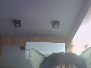 Cam4 Live Sex Cam of SkinnyKittenCam