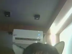 Cam4 Live Sex Cam of SkinnyKittenCam