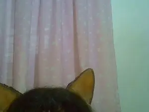 Cam4 Adult Webcams of SkinnyKittenCam