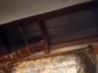 Camsoda Sex Cam of eatpuss96