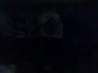 Camsoda Live Porn of oneinchlol