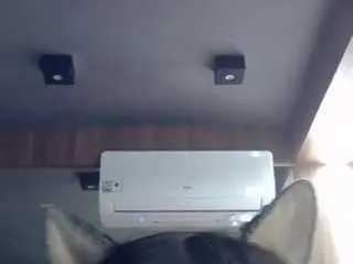 Camsoda Free Porn Cam of skinnykittencam