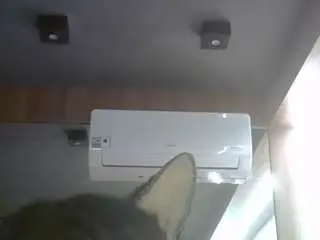 Camsoda Free Live Porn of skinnykittencam