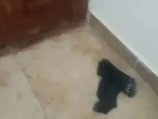 Camsoda Sex Chat of elpajaroquemamarias18