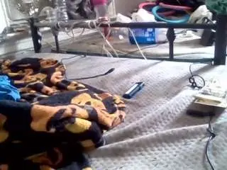 Camsoda Sex Cam of elmonstro690