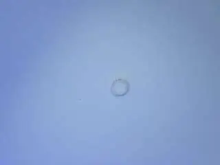 Camsoda Live Porn of janneblossom