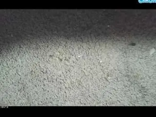 Camsoda Watch Live Sex Cams of asskitten