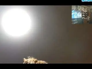 Camsoda Sex Chat of asskitten