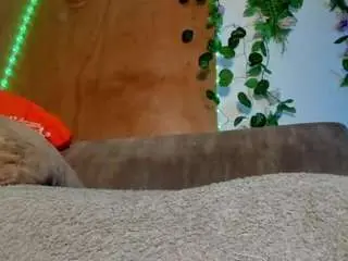 Camsoda Adult Webcams of adhara-hot