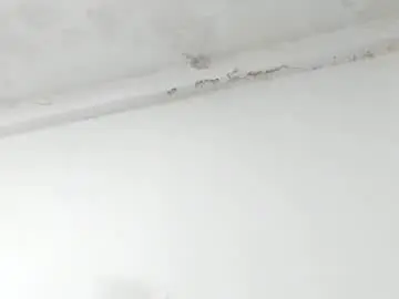 Chaturbate Live Sex Cam of rihanna_hotx