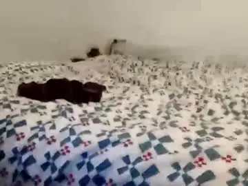 Chaturbate Nude Webcam of mulato44
