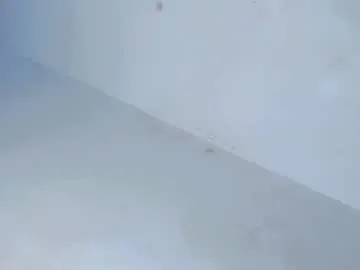 Chaturbate Live Sex of bigblack_barbie69