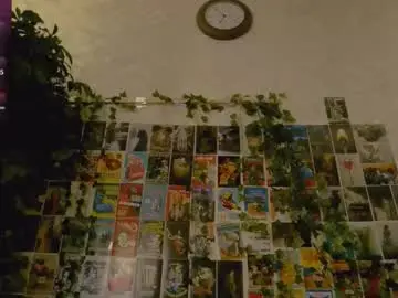 Chaturbate Adult Webcams of klin_miller