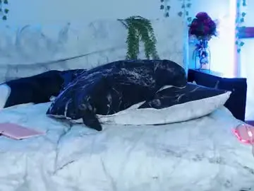 Chaturbate Best live sex cam show of wildorchid_