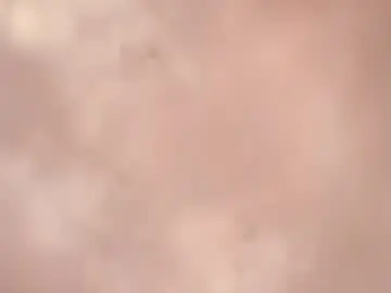 south_florida from chaturbate