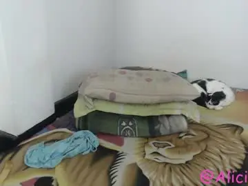 Chaturbate Live Porn of alice_psilocybe_sabina420