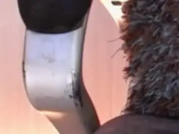 sexyshemale4uxxx from chaturbate