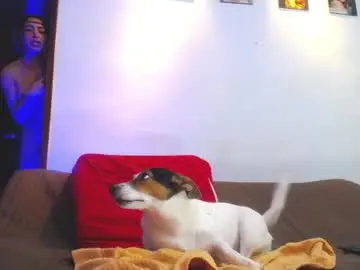 Chaturbate Free Live Porn of shellsy_hans