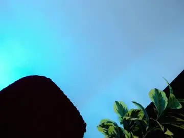 Chaturbate Live Sex Cam of lustyseraphina