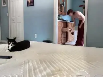 Chaturbate Adult Webcams of maddlips