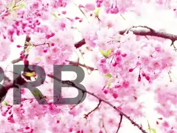 Chaturbate Adult Webcam of lorraine_baker