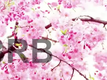 Chaturbate Live Sex of lorraine_baker