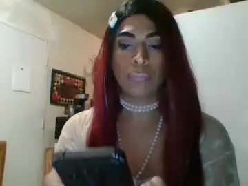 Chaturbate Free Porn Cam of hihheelstranny