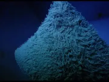 Chaturbate Best Webcam of alondra_bigcockxxx