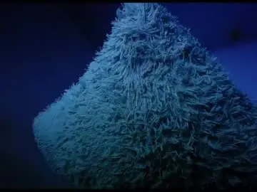 Chaturbate Live Porn of alondra_bigcockxxx