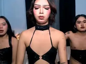 Chaturbate Live Porn of amazingmeatycockts