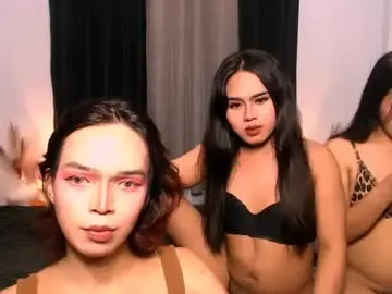 Chaturbate Best Webcam of amazingmeatycockts