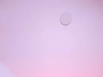 Chaturbate Live Porn of adharasweet1