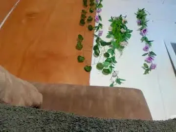 sexking_david from chaturbate