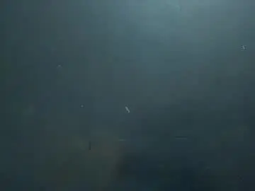 sophia_models from chaturbate