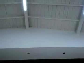 Chaturbate Adult Webcam of abigailwilliams_