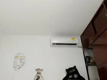 Chaturbate Live Sex of eileen_tanihara