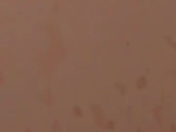 Chaturbate Free Live Porn of sam_naughty18