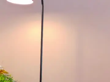 Chaturbate Adult Webcam of bloom_apple